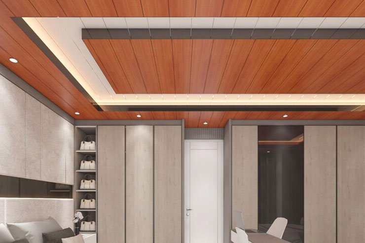 PVC ceiling design